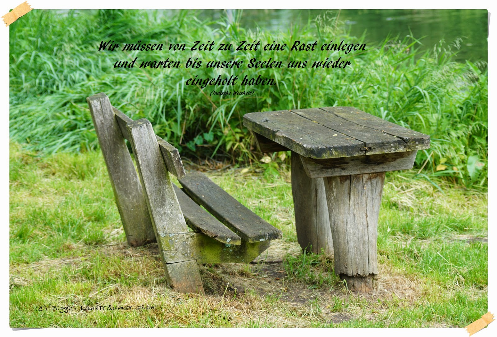  Zitate im Bild # 5 Motiv 