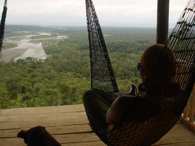 Tour pela AMAZÓNIA (de Baños a Puyo) para descobrir a floresta virgem | Equador