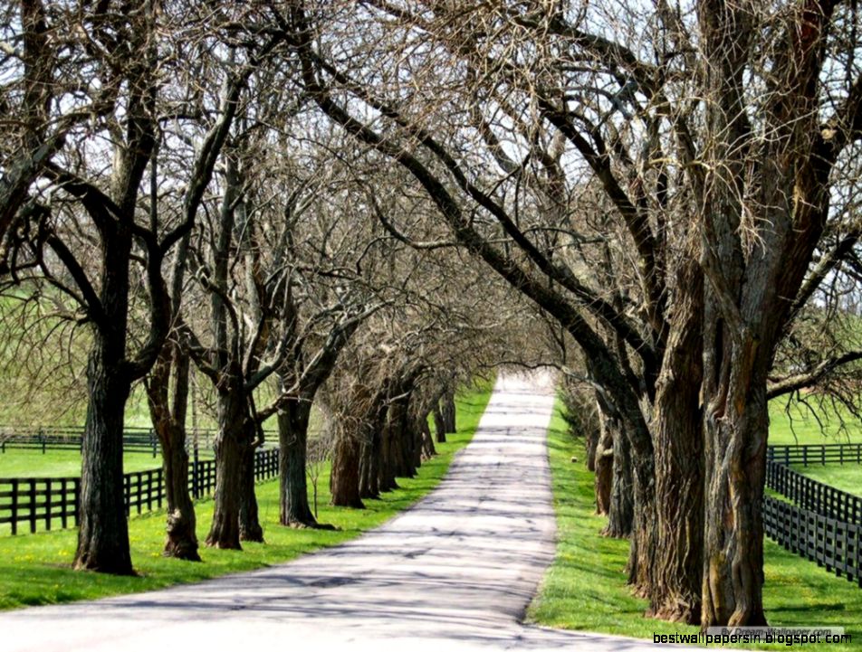 Fall Images for Desktop Background