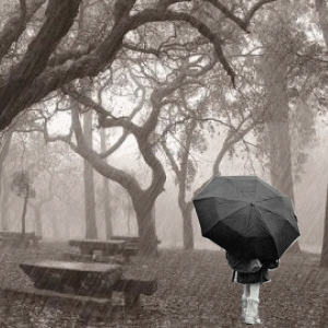 Puisi Kenangan Rintik Hujan
