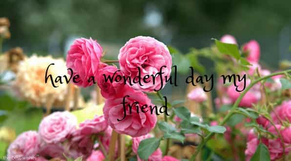 have-a-wonderful-monday-my-friend have a wonderful monday my friend