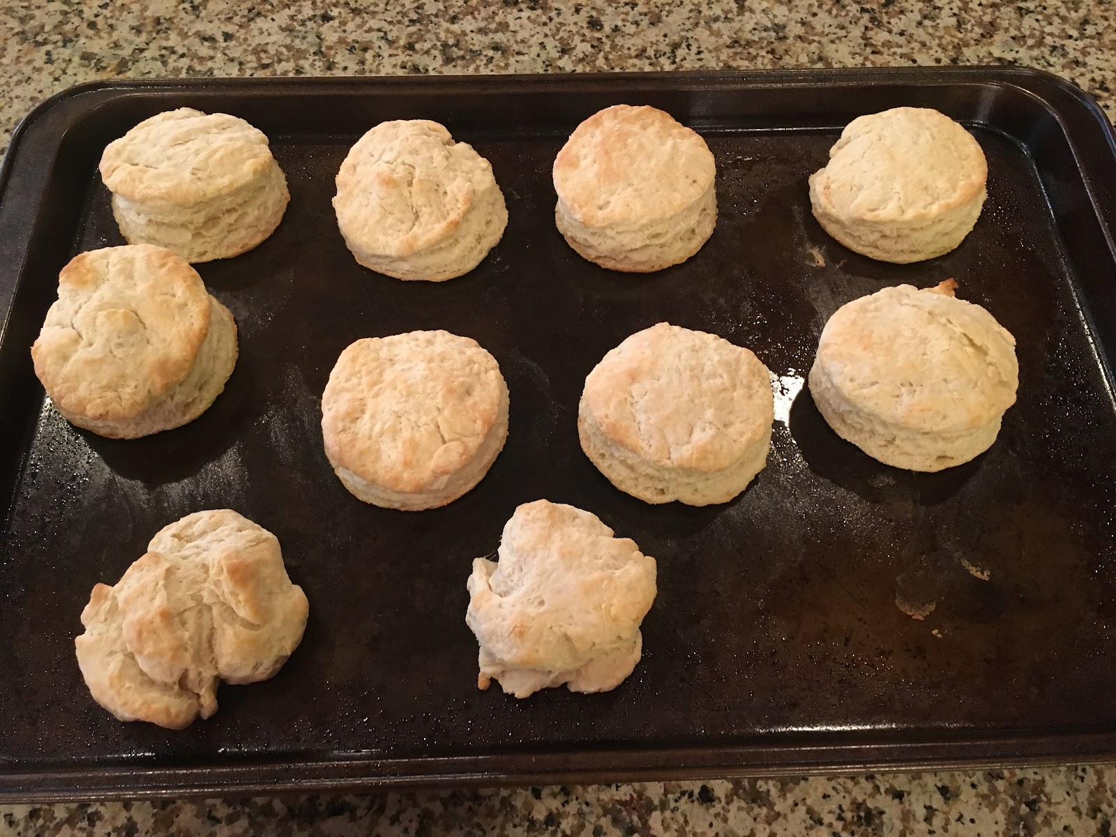 New Recipe, Week 15 All Purpose Biscuits!