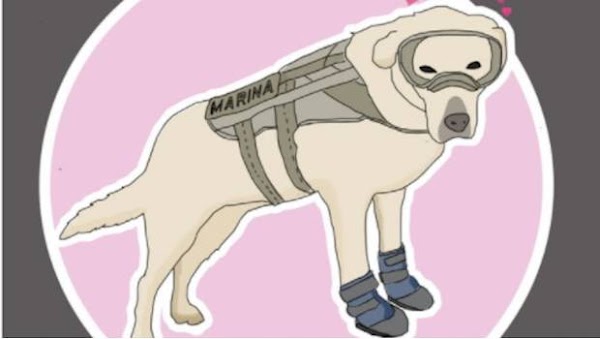 Con estos stickers ahora podrás llevar a Frida contigo a todas partes Con estos stickers ahora podrás llevar a Frida contigo a todas partes