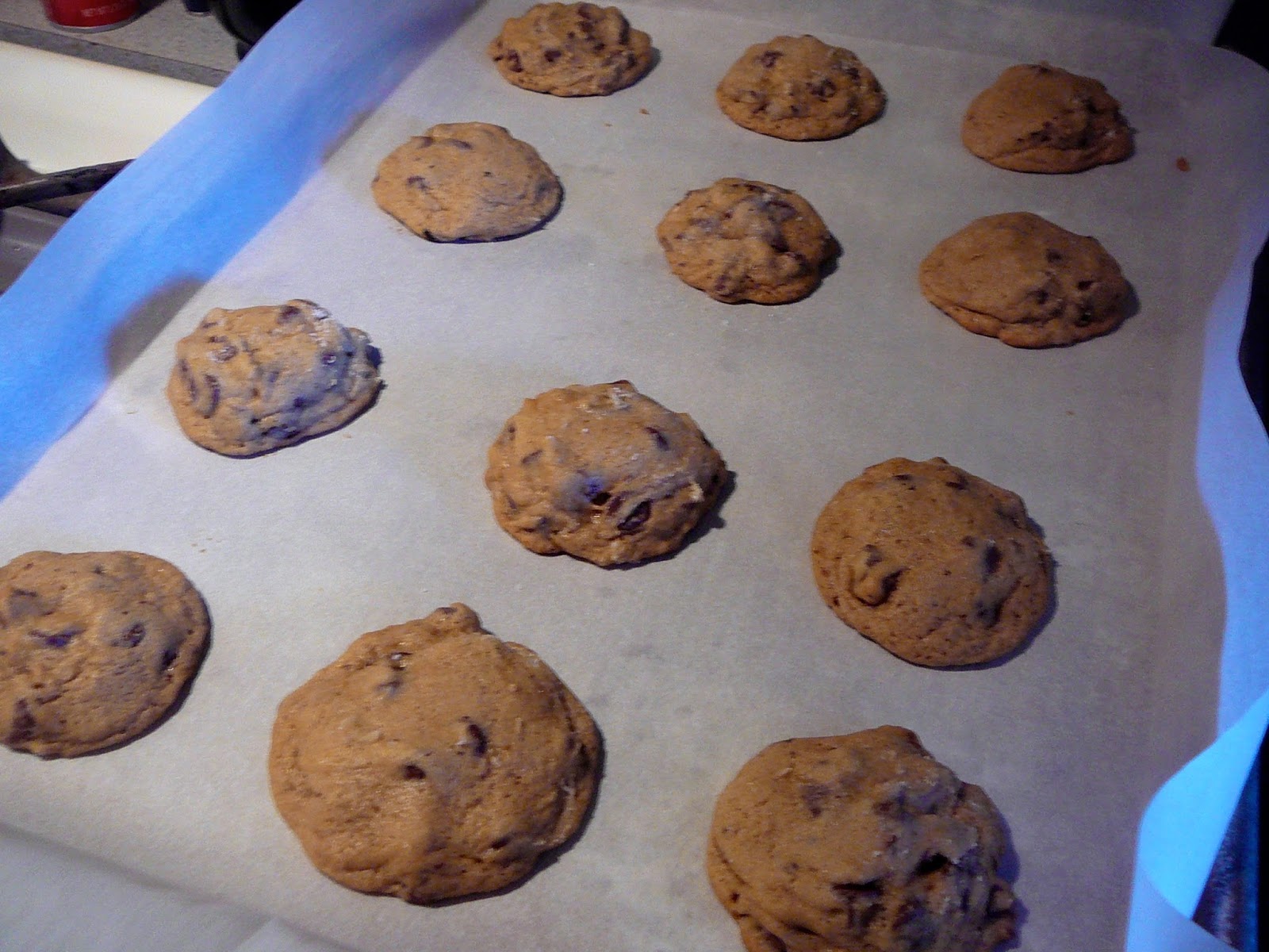 The Hidden Pantry Deliscious Soft Chocolate Chip Cookies Made with HONEY.