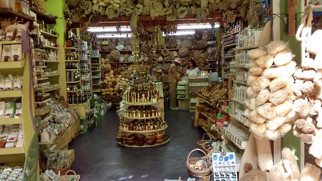 Reid Travel Travelogue for A Ten Day Cruise on the Silver Spirit