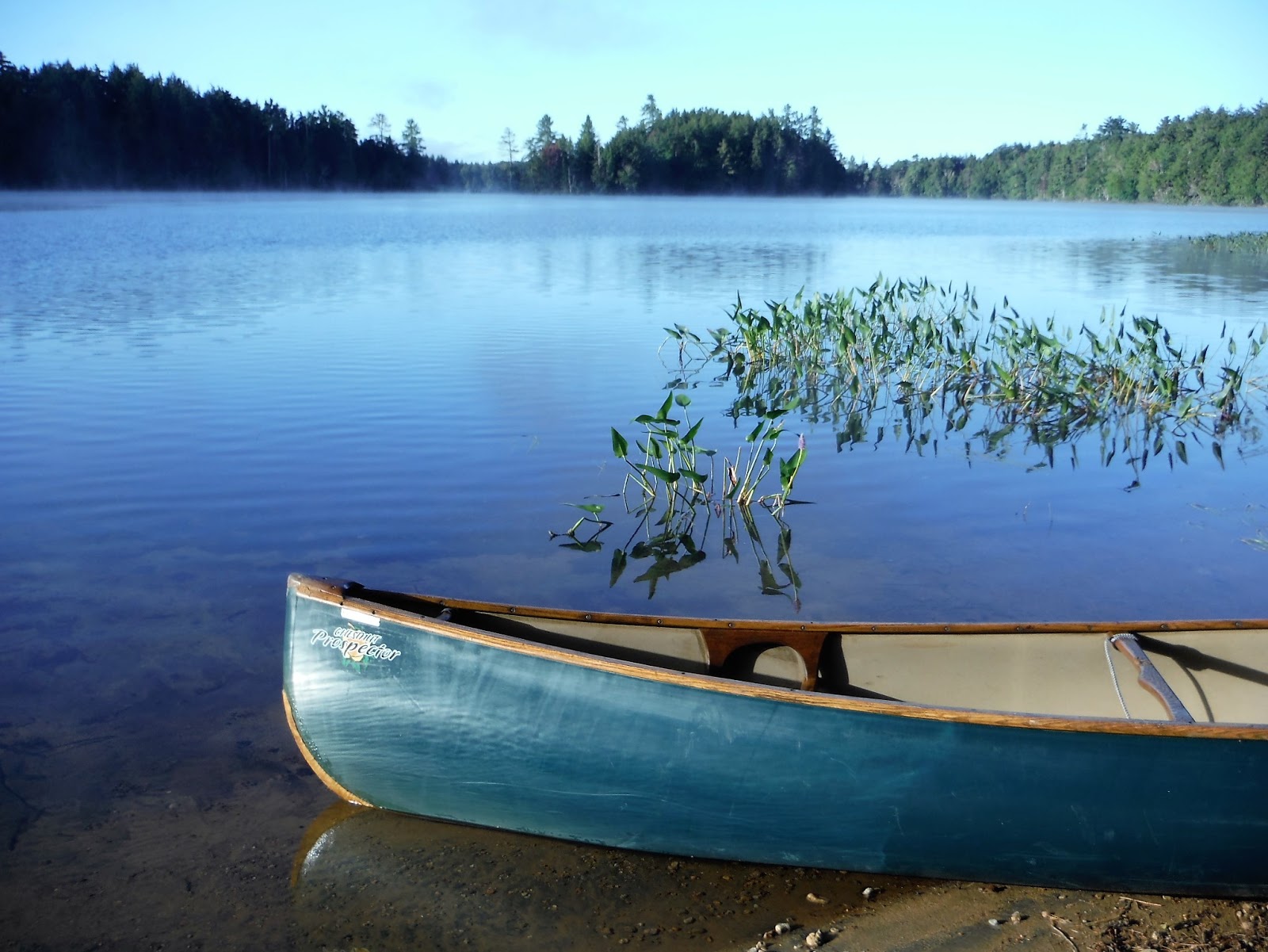 FLOODWOOD PONDS & FISH CREEK canoeing, hiking and camping