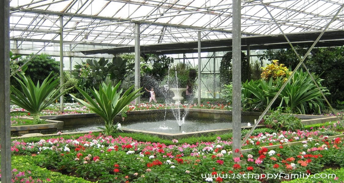 A Pond inside the Green House