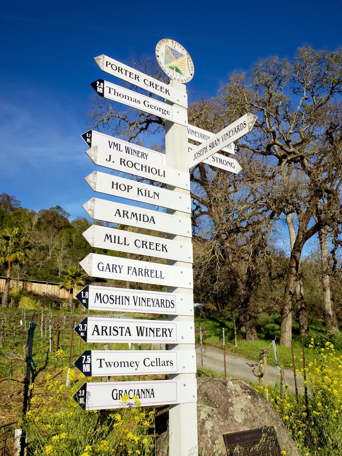 Russian River Valley Vineyards 52
