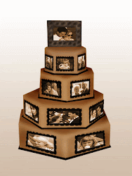 cake cakes unique tortas desain bonitas tort weddings cool momentos especiale collect dream later guardado desde wonky album grooms