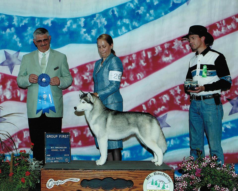 DOG SHOW POOP EUGENE KENNEL CLUB