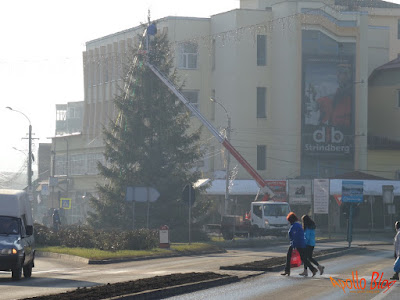 Montare Brad Craciun Toplita