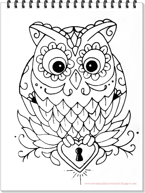 EulenMandalaOwls mandalaHochwertige Mandala Bilder