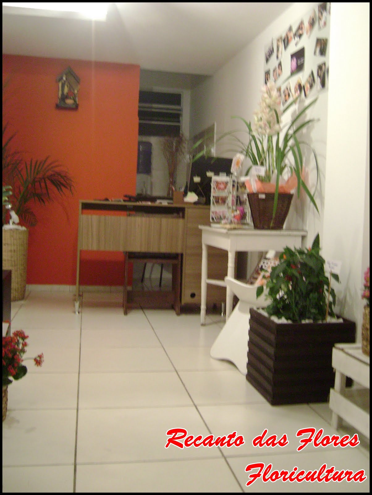 Floricultura Recanto das Flores