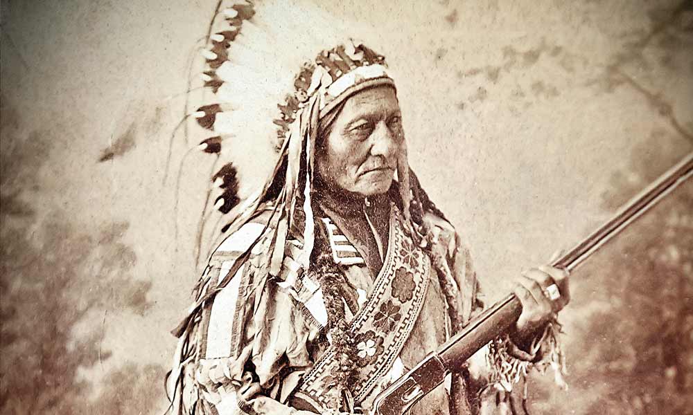 THE GRANDMA'S LOGBOOK SITTING BULL HUNKPAPA LAKOTA RESISTANCE LEADER