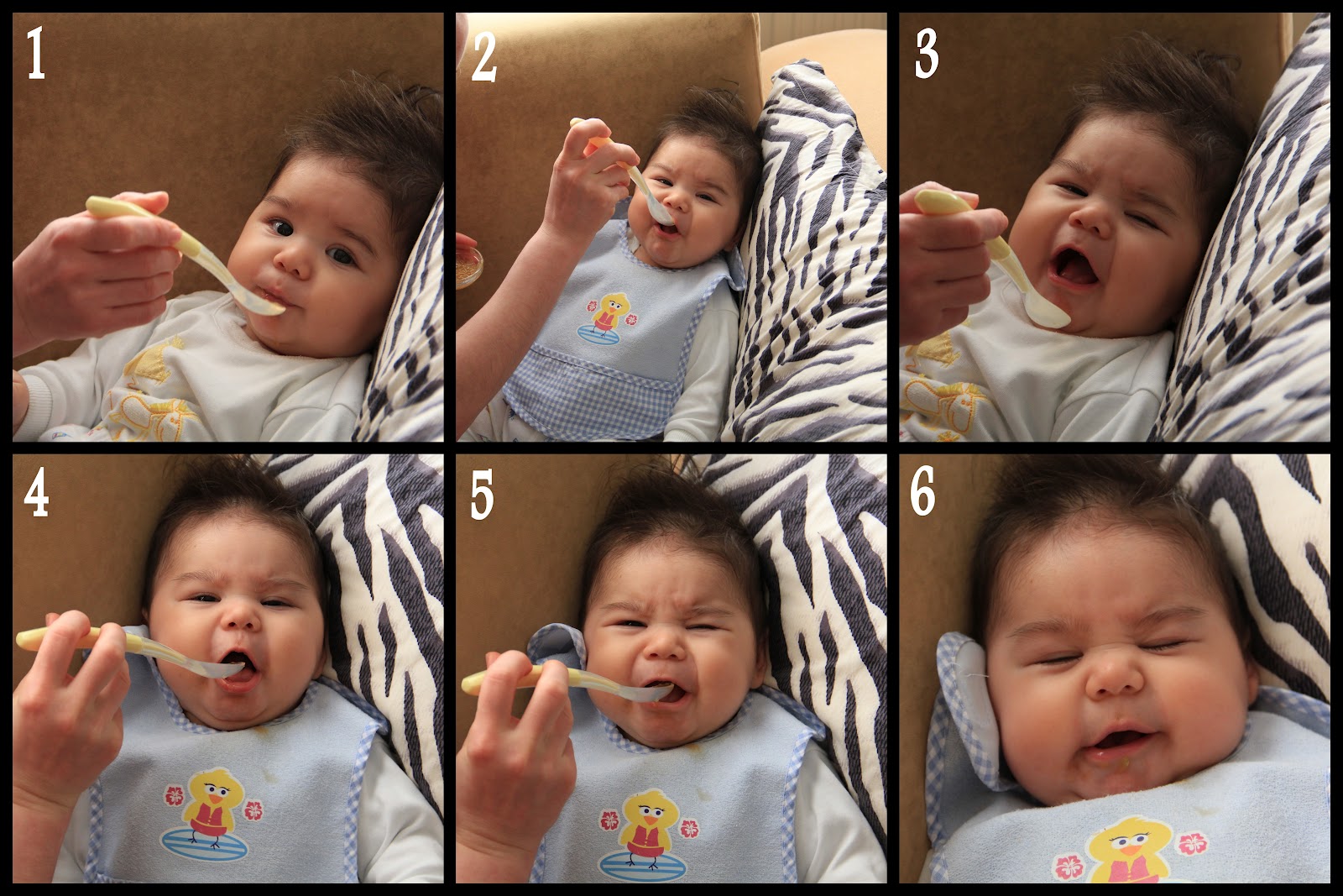 Bebeğimin Güncesi Ek Gıdaya Geçiş Bebeğimin Güncesi Ek Gıdaya Geçiş