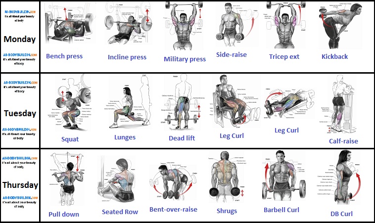 Muscle Building Program 3 Day Workout For A Buffer You Bodydulding muscle-building-program-3-day-workout-for-a-buffer-you-bodydulding