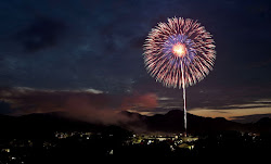 night fireworks firework