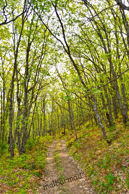 Mi Mundo en Fotografias Valdastillas