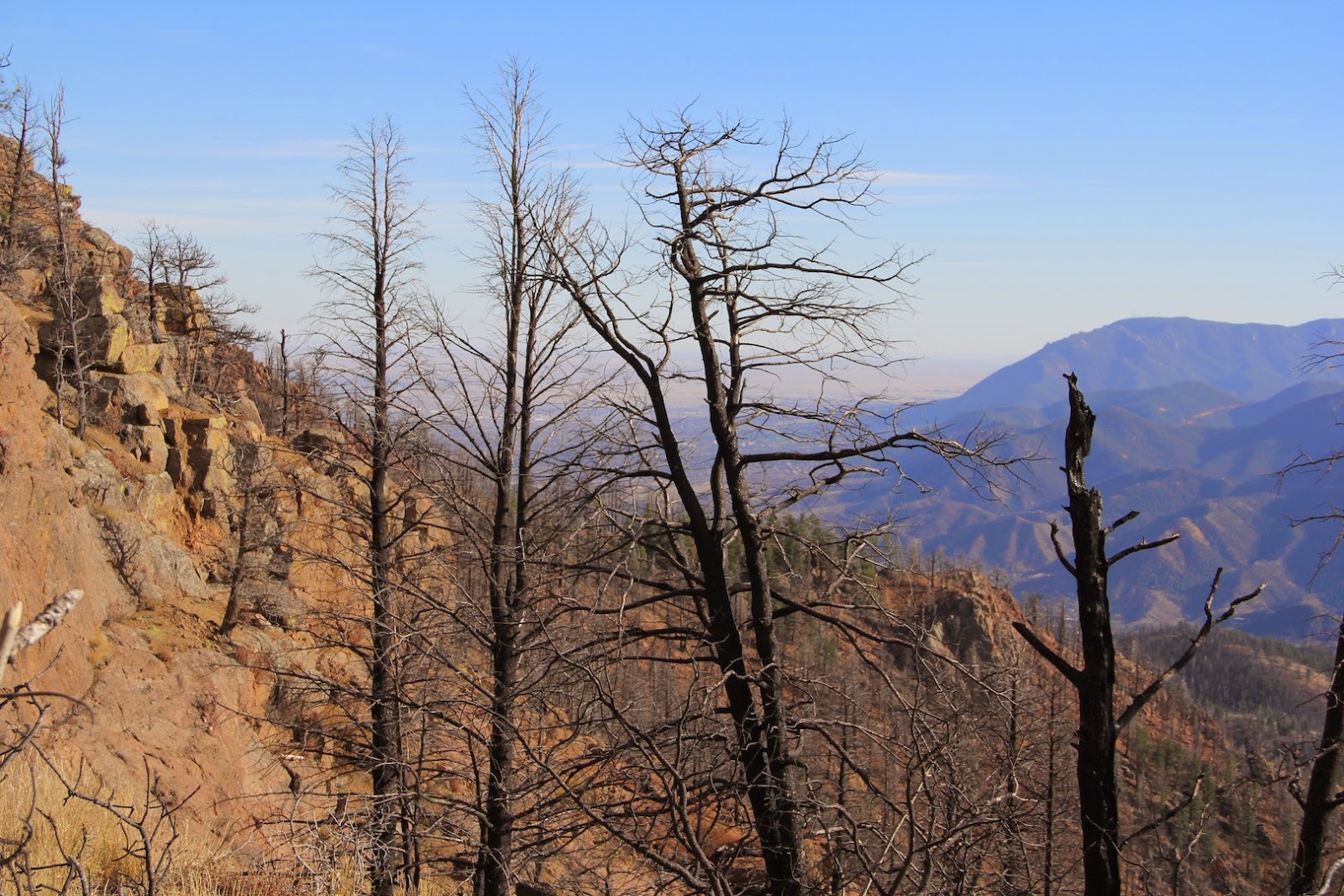 Restless native A changed condition Rampart Range Road offers a hard
