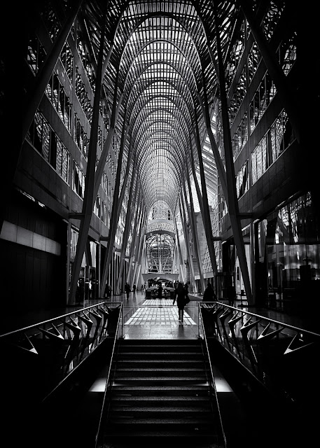 Allen Lambert Galleria Toronto Canada No 1 by The Learning Curve Photography