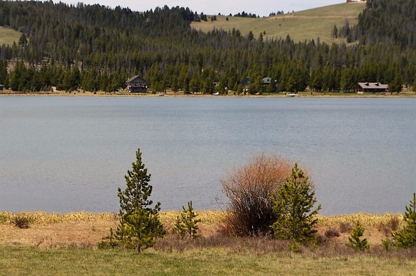 Northwest National Real Estate NEW LISTING! Sweet Mountain Living Lake