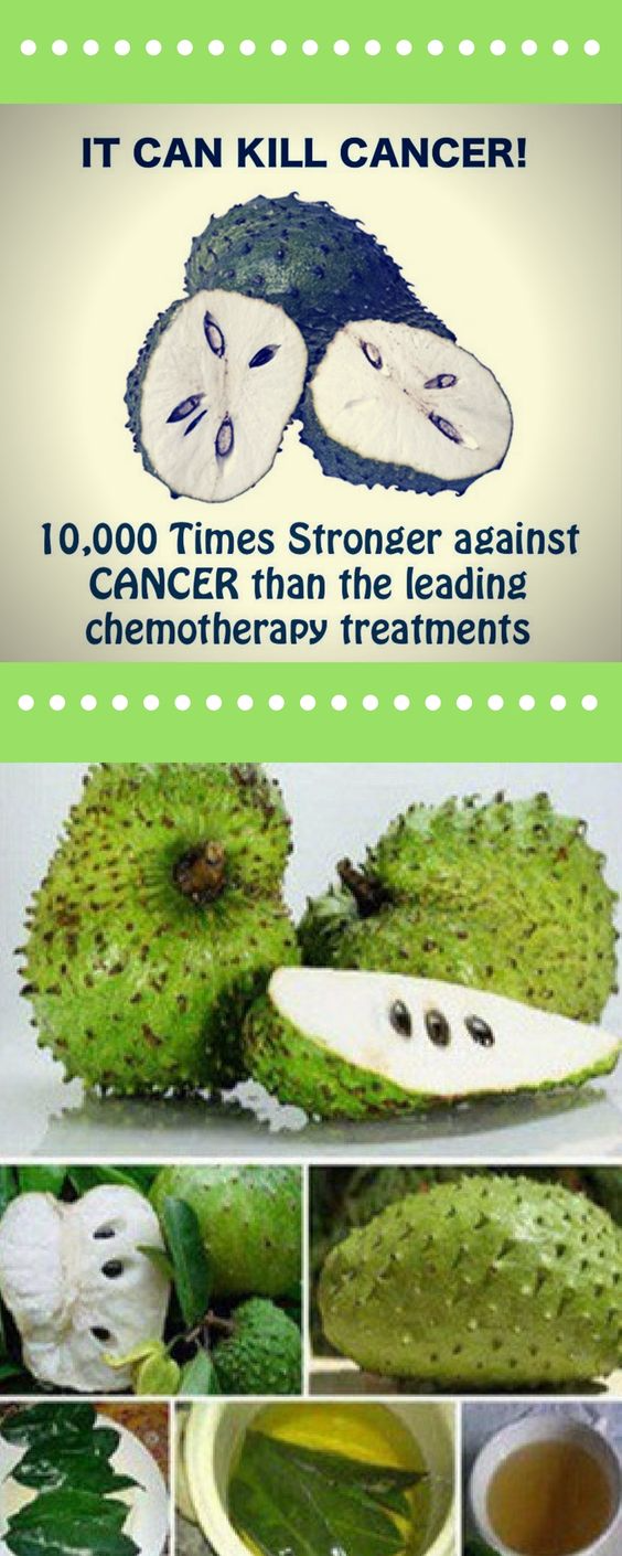 THE LEAVES OF SOURSOP ARE 1,000 TIMES STRONGER AT KILLING CANCER CELLS
