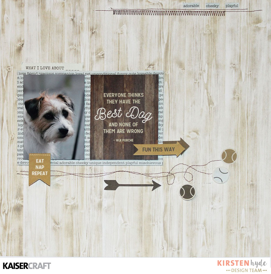Pet Animal KaiserCraft Clear Stamps Pawfect Cat