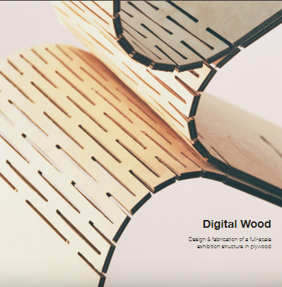 Wood thesis 06 image