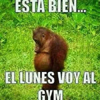 imagenes para whatsapp, frases de risa, chistosas, divertidas, graciosas para whatsapp imagenes para whatsapp, frases de risa, chistosas, divertidas, graciosas para whatsapp