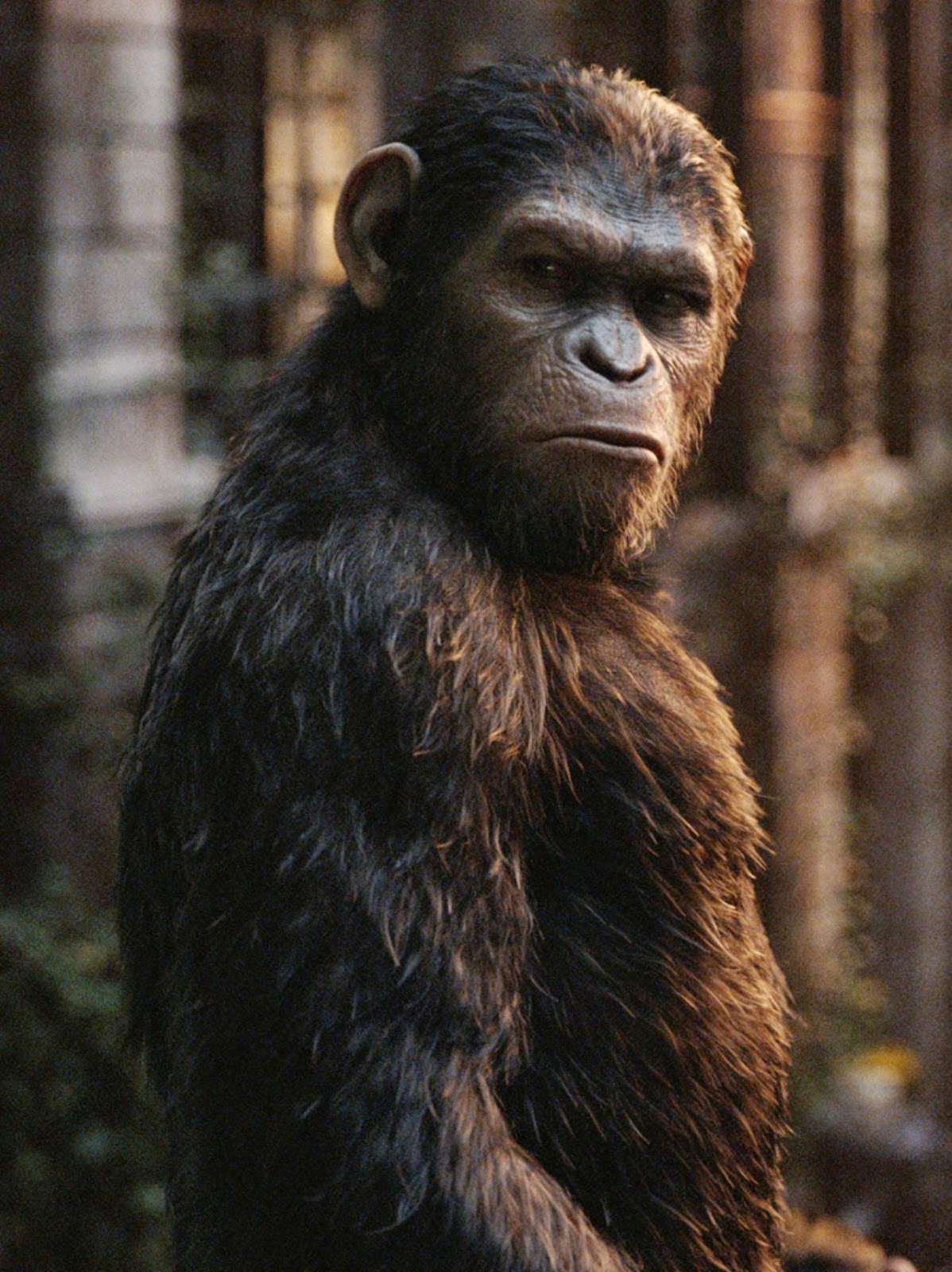 Planet Of The Apes Glyphs Planet Of The Apes Glyphs