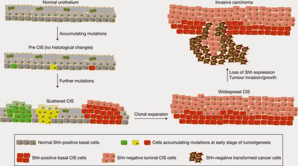 13 Best Medicare Charting Images Nurse Nursing Study Nursing Notes
