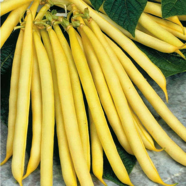 Yellowbeans.theproduceblog 
