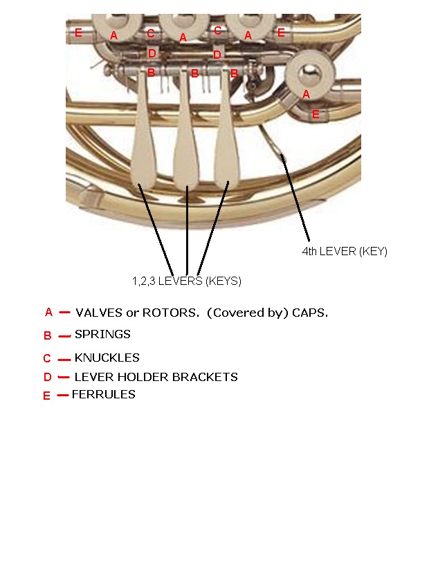 Colorado's Longest Running Music Store Longmont CO