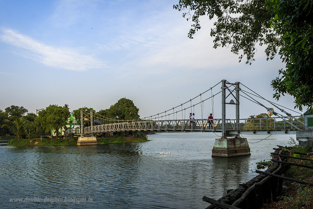 The Concrete Paparazzi Lake Mosque, Rabindra Sarobar