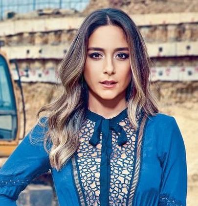 Akrabalik Zinciri Husrev Gerede Vafi Ailesi Huseyin Basaran Necipoglu Ailesi