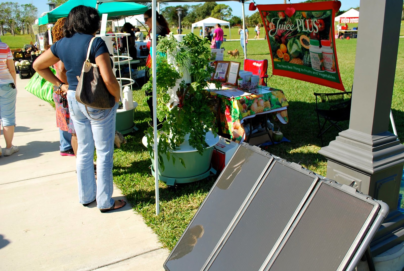 Helen A. Lockey Solar Powered Aeroponic Tower Garden by Juice Plus+