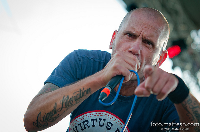 STRAIGHT EDGE SKINHEAD: Los Fastidios - 3 Songs Against Animal Cruelty