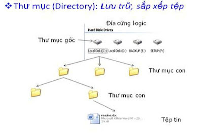 tinhoccoban.net - Hình biểu diễn cây thư mục