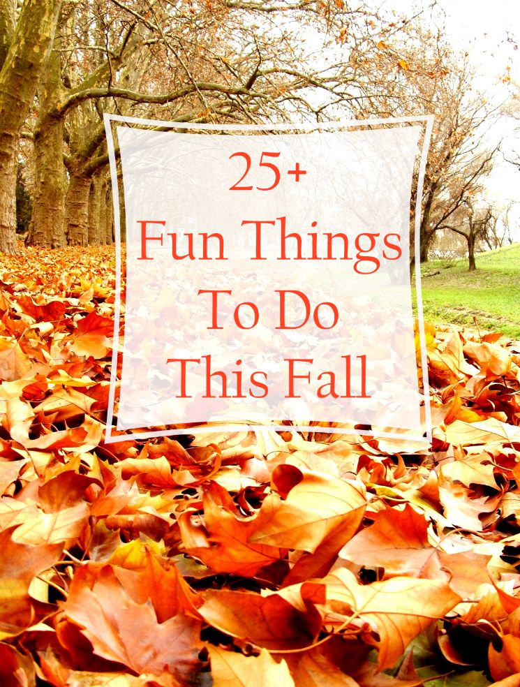 25 Fun Things To Do This Fall Home Crafts By Ali