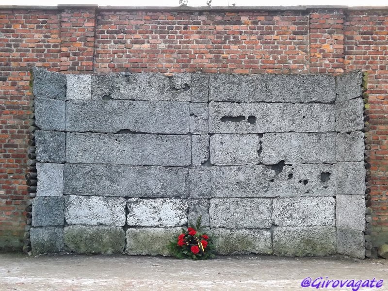 muro della morte museo Birkeanu