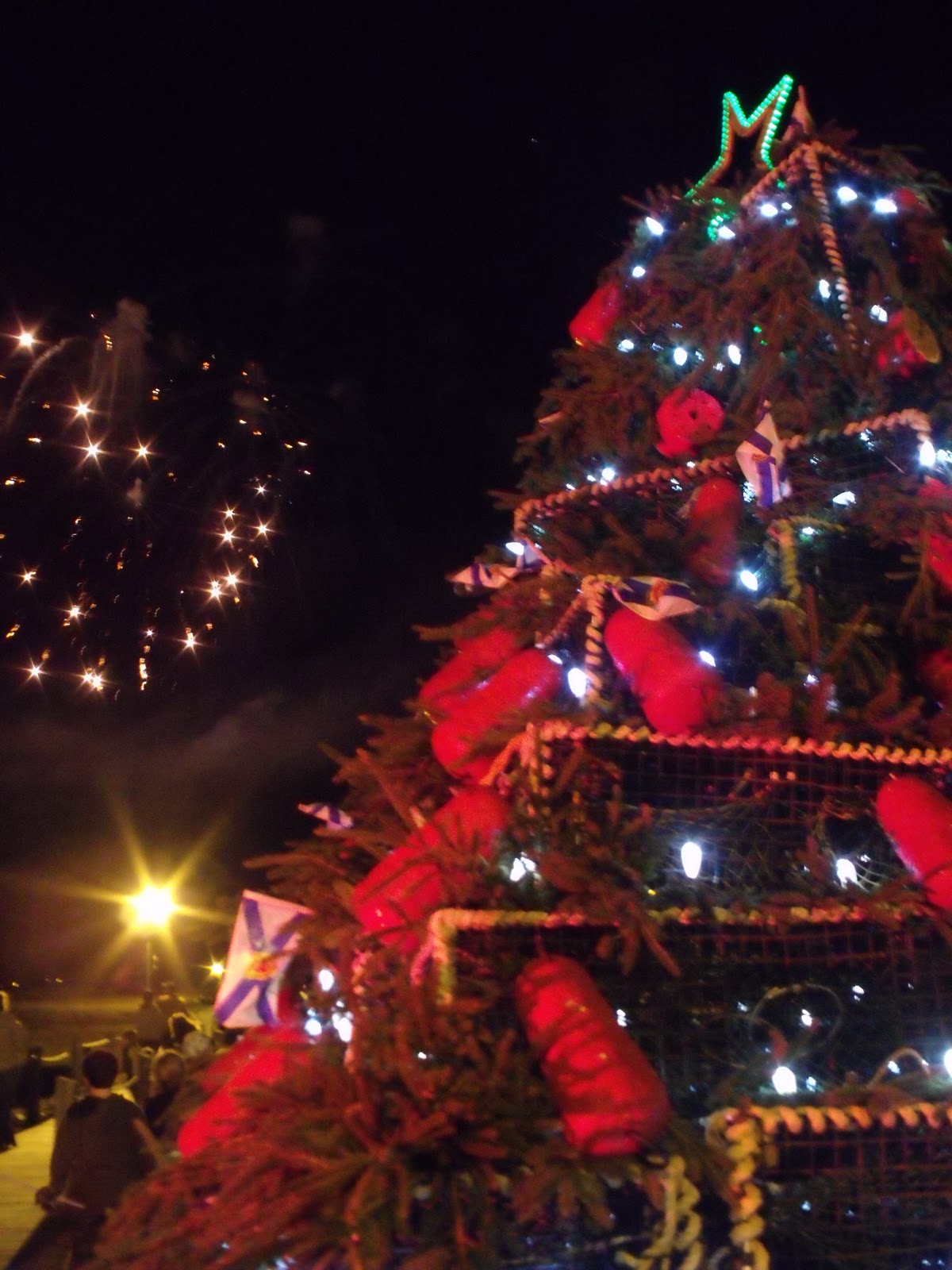 Discover Shelburne County Christmas Trees Nova Scotia style!
