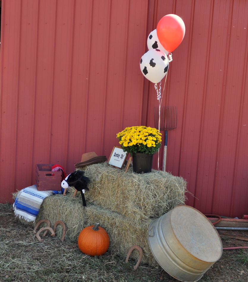 Design to Shine: Cowboy UP in the Barn Birthday Party