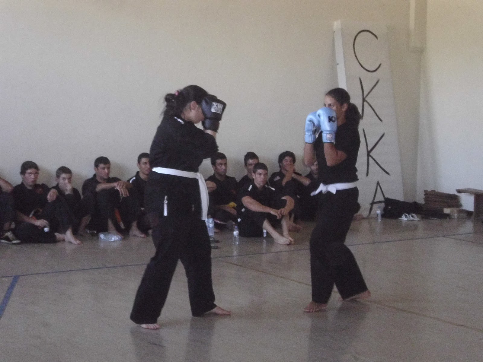 Kempo Viseu: Outubro 2012