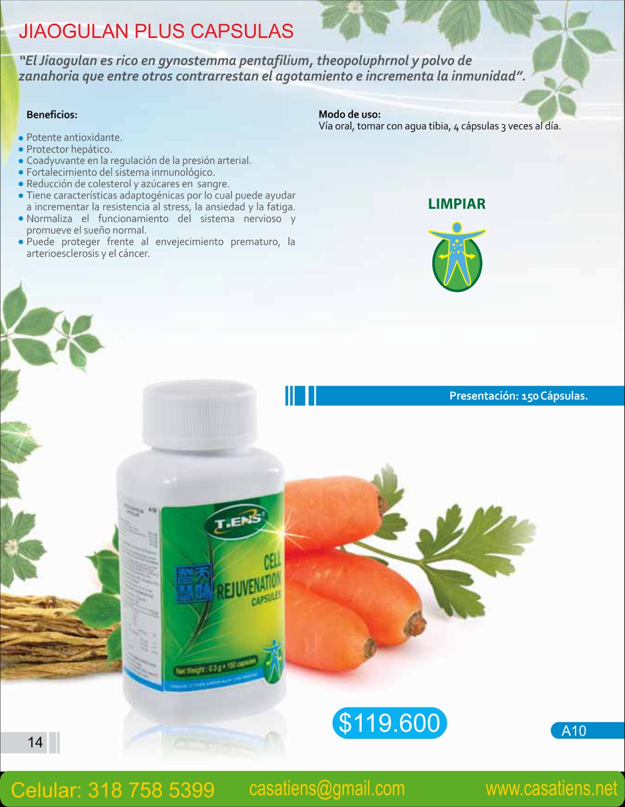 CASA TIENS PRODUCTOS: Capsulas de Jiaogulan Plus A10