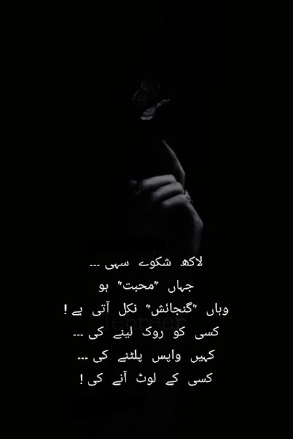 Jahan Muhabbat ho wahan Gunjaish nikal aati hai  - Best Hindi Urdu Poetry Pictures