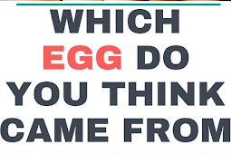 Which Egg Do You Think Came from a Healthy Chicken?