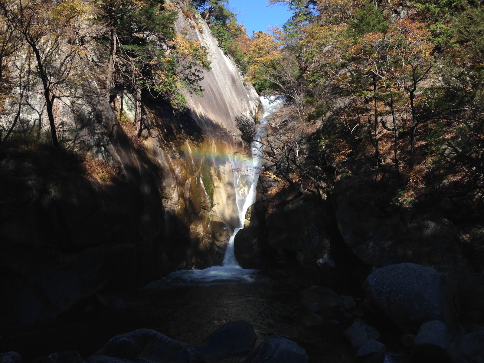 shin's photo square 泉