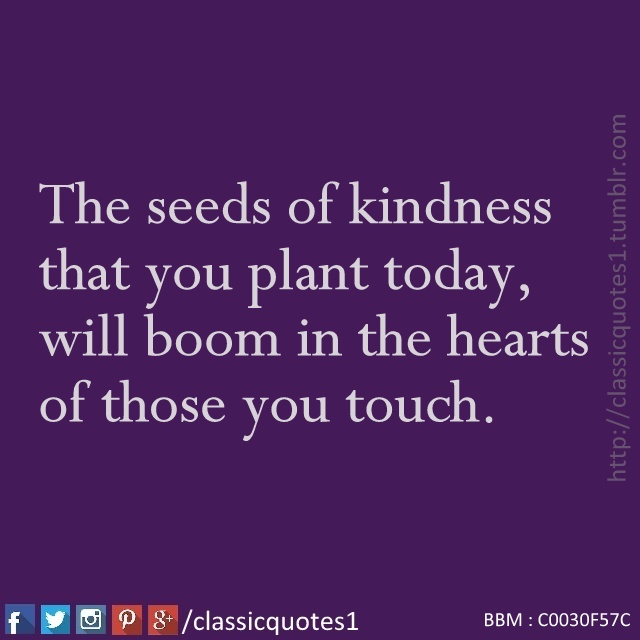 Classic quotes The seeds of kindness that you plant today, will bloom
