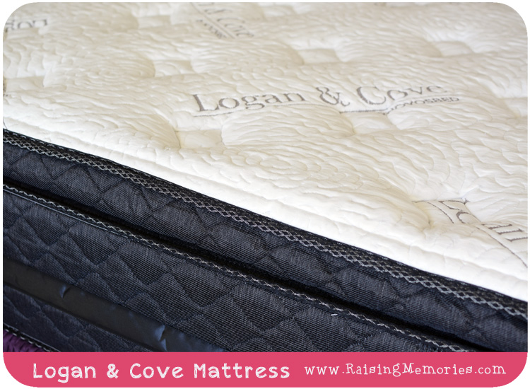 Logan and Cove Review