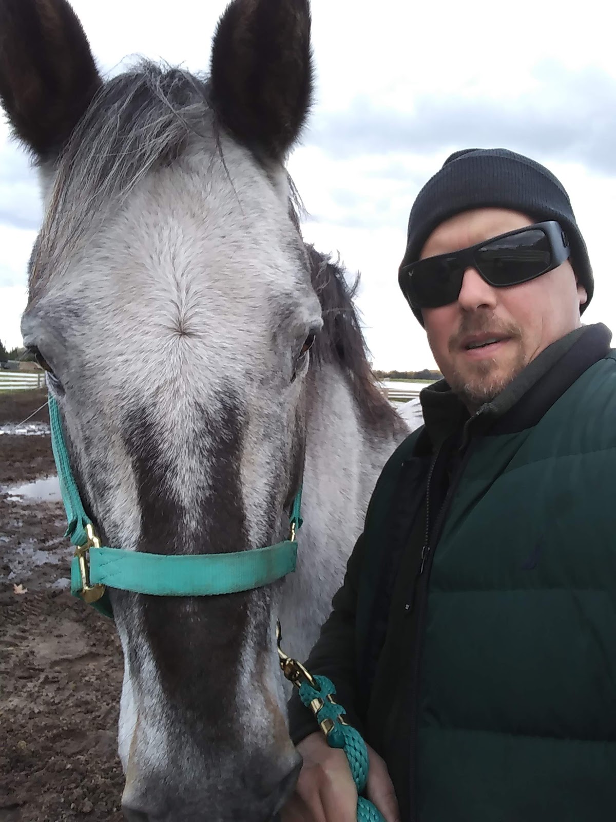 Horses that Follow YouWhat does it mean and why?